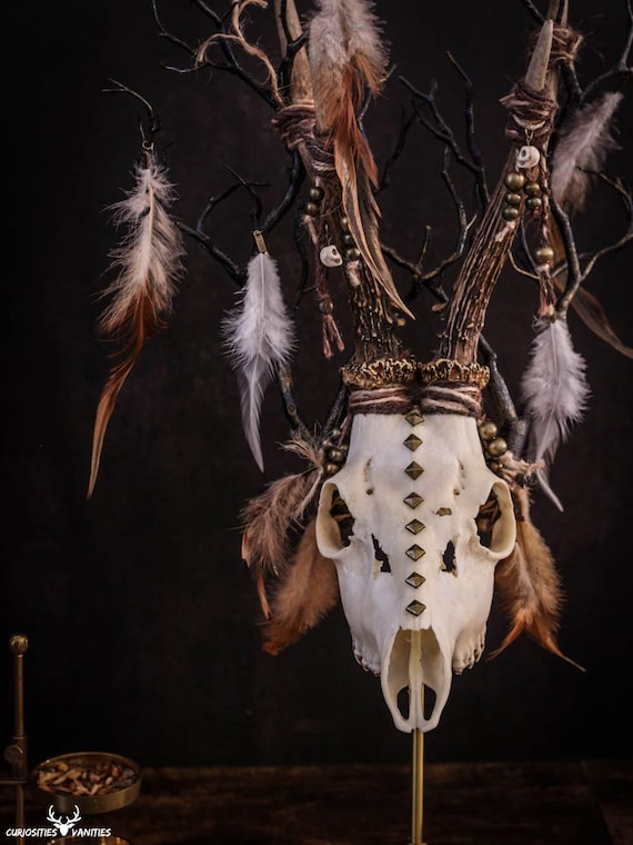 Tribal european roe deer skull with natural antlers, feathers, beads, and bones for alternative gothic home decor, voodoo, primitive art