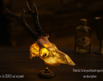Unique skull lamp from real roe deer skull for gothic alternative home decor or gothic gift, to be used as table lamp