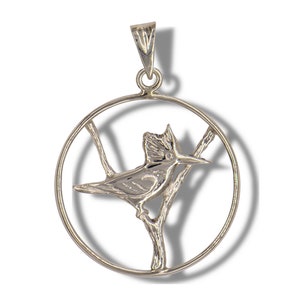 Kingfisher in Circle Pendant, Kingfisher Jewelry, Kingfisher Necklace, Kingfisher Gifts, Kingfisher Art, Common Kingfisher