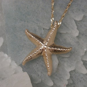 Grote zeester, zeester hanger, zeester ketting, gouden zeester, zeester, zeester, zeester sieraden, zeester sieraden, zee sieraden, schattige zeester