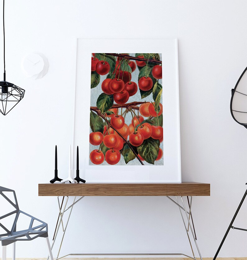 Kitchen Wall Art Cherries Print Kitchen Print Food Photograph Etsy