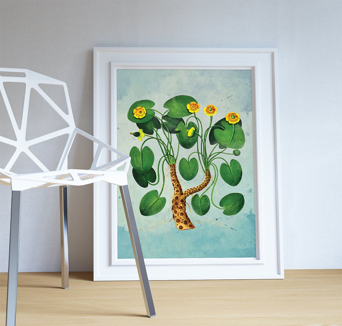 Water Lily decor Water Lily art Water Lily gift botanical Etsy