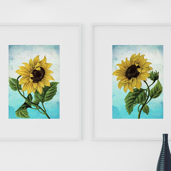 Sunflower Print Set of Two art botanical print flower Sunflowers decor floral print floral wall decor Sunflower wall art Canvas