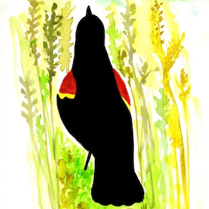 Red-Winged Blackbird Watercolor
