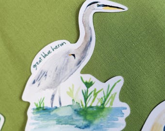 Puede incluir: Una pegatina con una ilustración en acuarela de una garza azul. El ave está representada en tonos grises y azules, de pie en el agua con juncos verdes. Las palabras "great blue heron" están escritas en la pegatina.