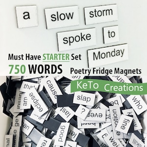 750 MUST HAVE STARTER Set Word Magnets - Fridge Poetry Magnets - White Board Word Magnets