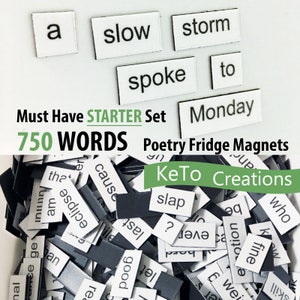 750 MUST HAVE STARTER Set Word Magnets - Fridge Poetry Magnets - White Board Word Magnets