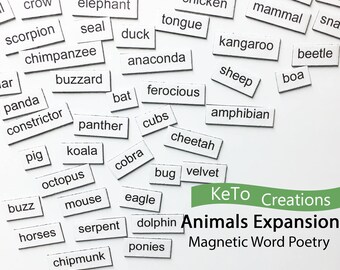 word magnets etsy