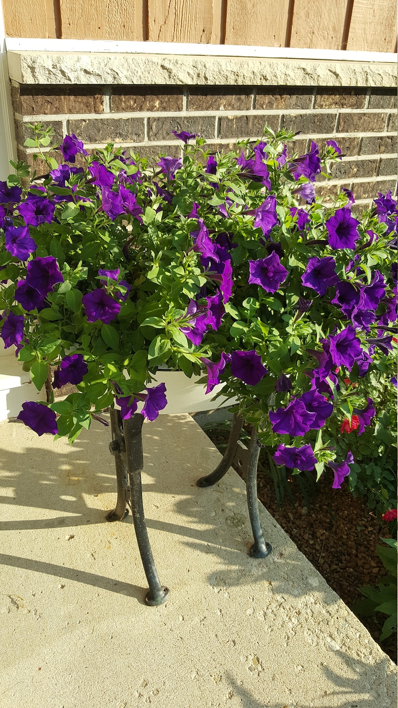 Antique Plant Stand - Etsy