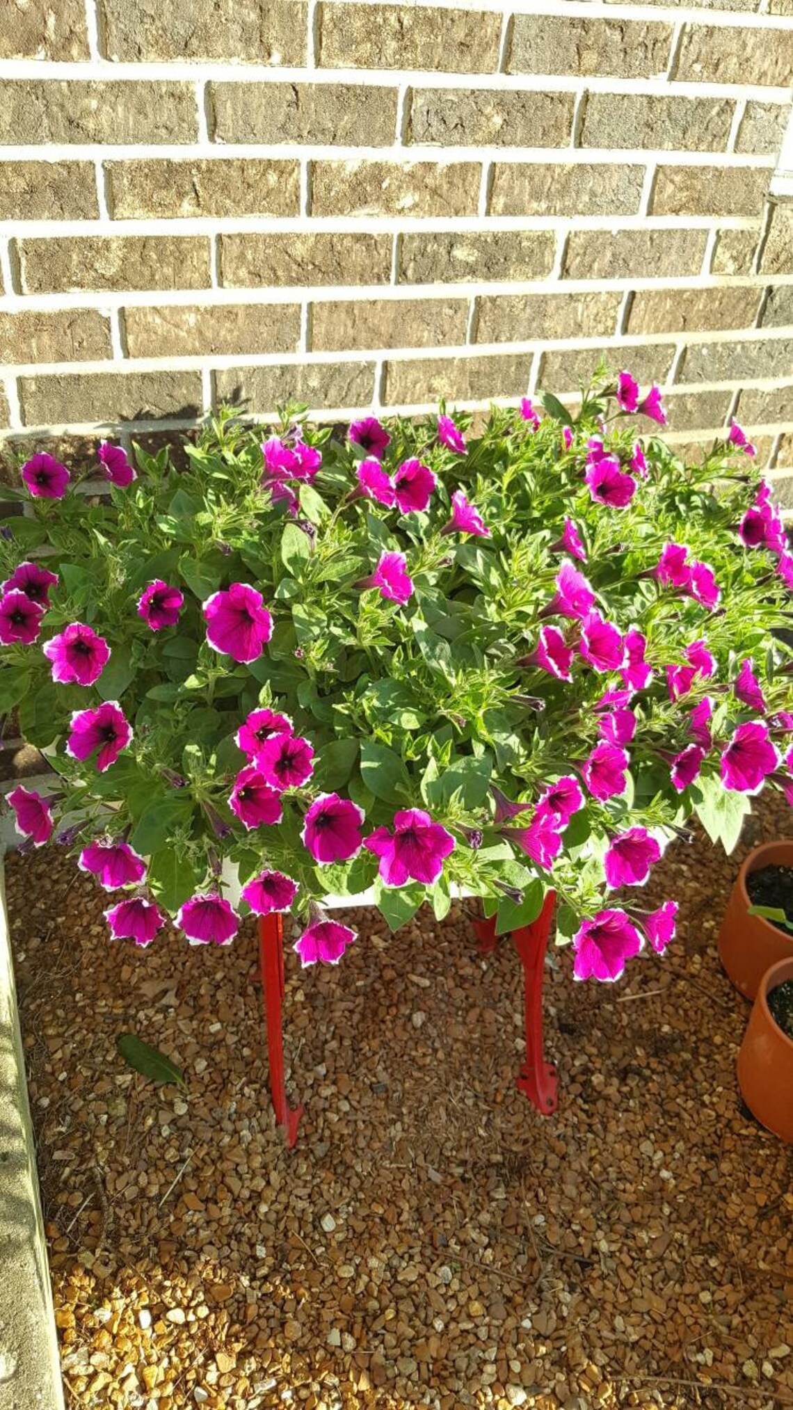 Antique Plant Stand - Etsy