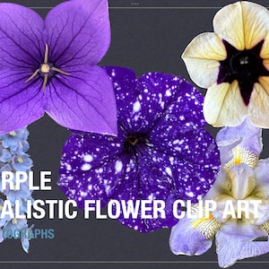 Springtime Bloom Clip Art Bundle - 5 High-Resolution Purple Flower PNG Files
