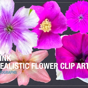 Colorful Flower Clip Art Bundle - Digital PNG Files for Personal & Commercial Use