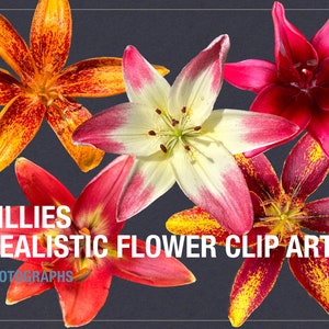 Conjunto de 5 clipart de flores vibrantes - arquivos PNG digitais para uso pessoal e comercial