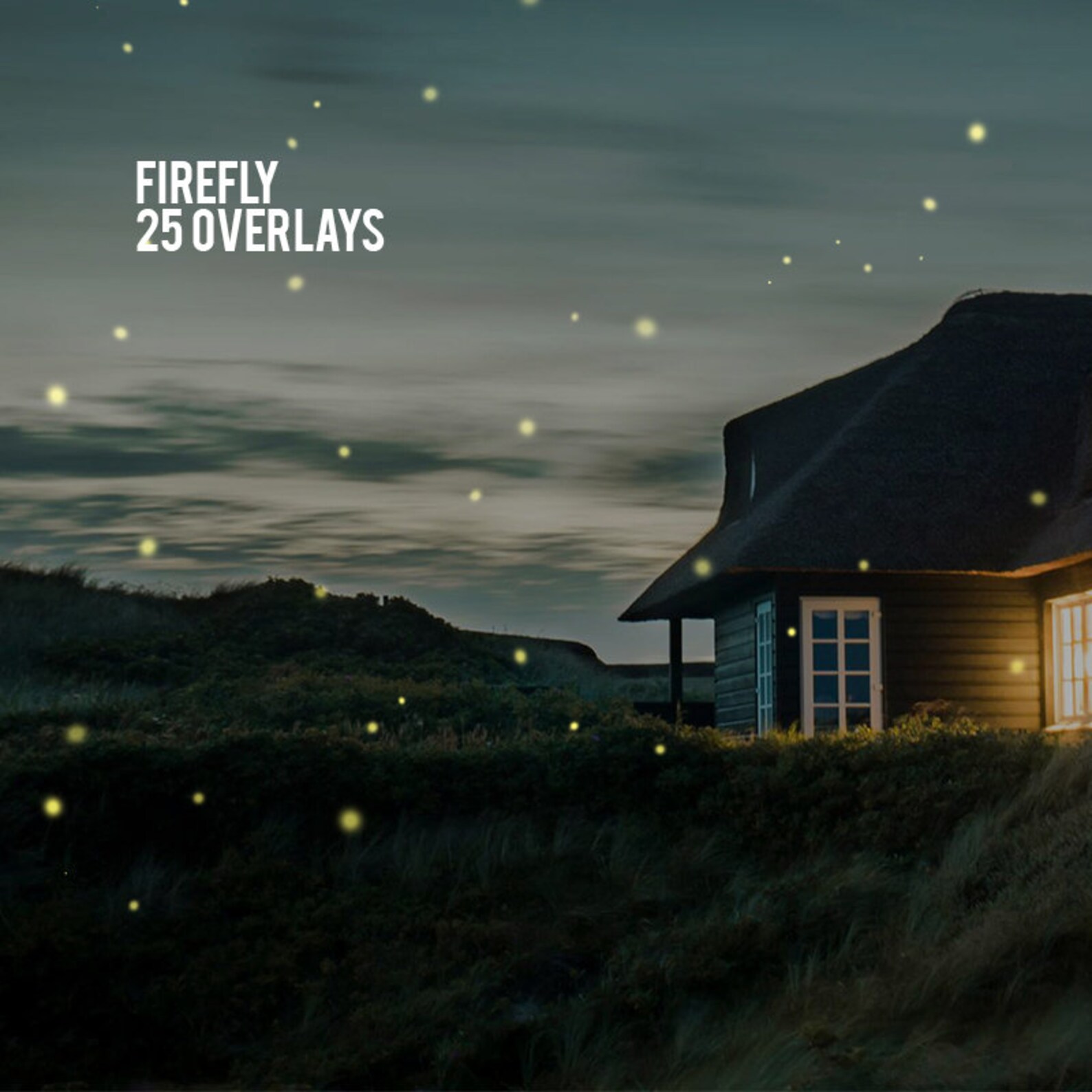 Firefly photoshop
