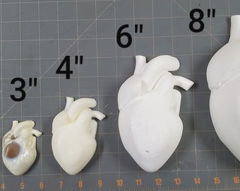 Silicone Anatomical Heart Mold- Two Part – KTOCTOPUS