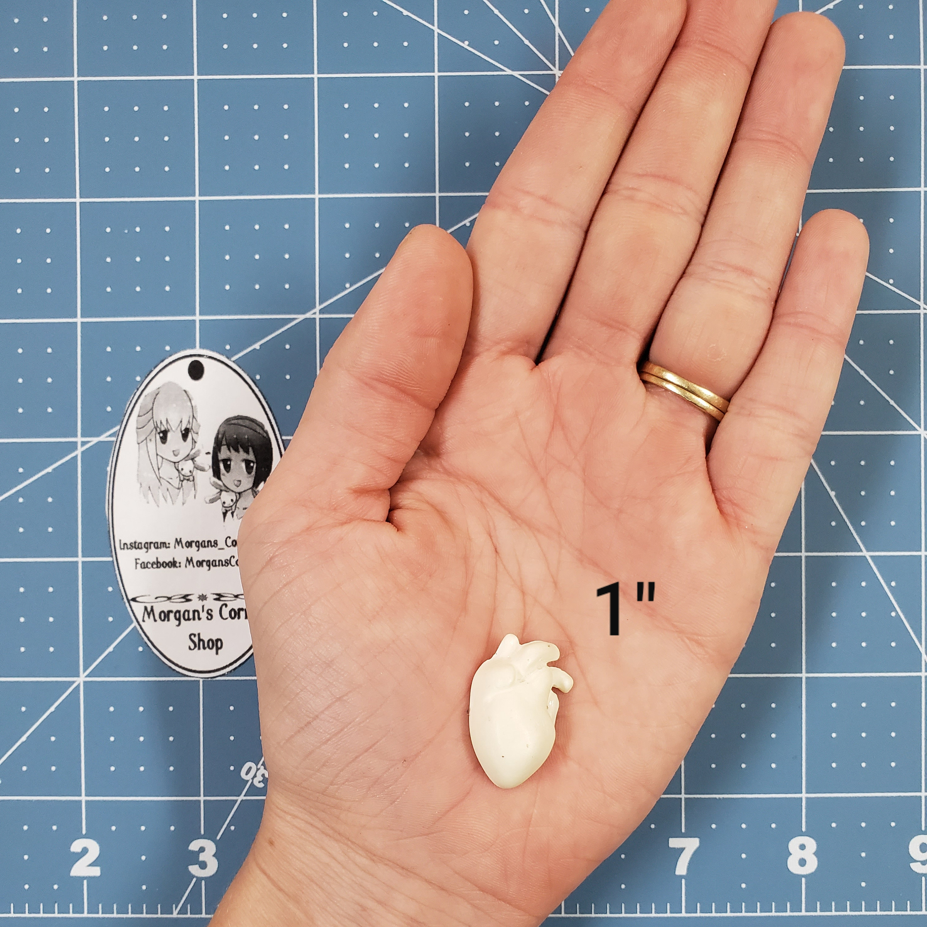 Human Heart Plastic Mold or Silicone Mold Resin Mold Heart Etsy Canada