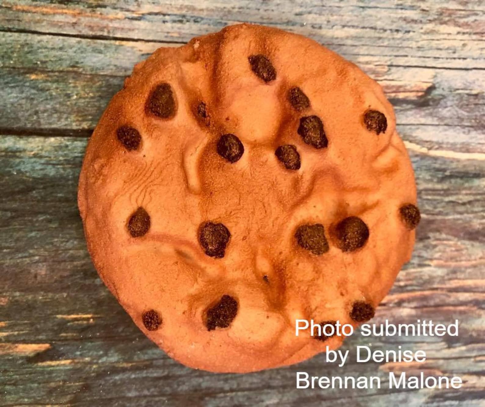 Chocolate Chip Cookie Plastic Mold or Silicone Mold Bath Bomb Etsy