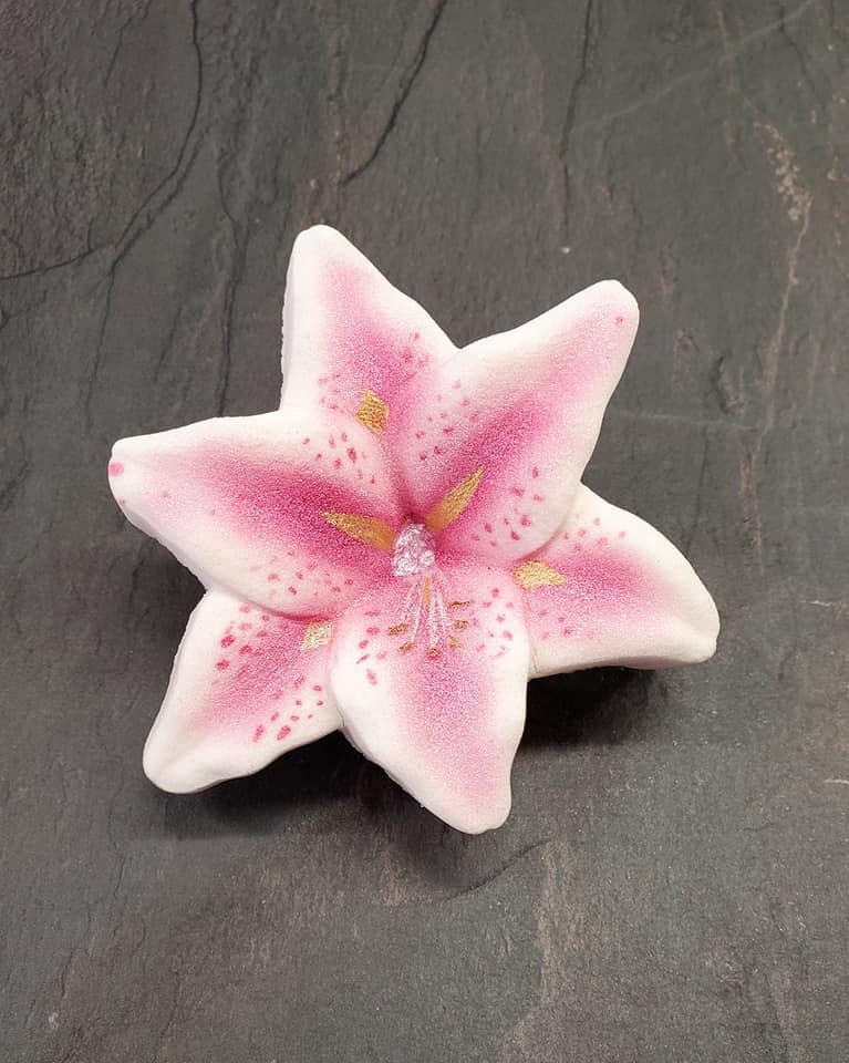 Lily flower Plastic Mold or Silicone mold bath bomb mold Etsy