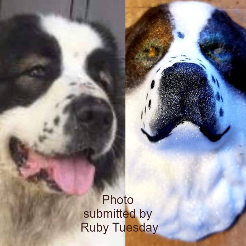 May include: A side-by-side comparison of a real dog and a painted dog. The real dog is a white and black Bernese Mountain Dog with its tongue sticking out. The painted dog is a white canvas with black paint outlining the features of a Bernese Mountain Dog. The text "Photo submitted by Ruby Tuesday" is at the bottom of the image.