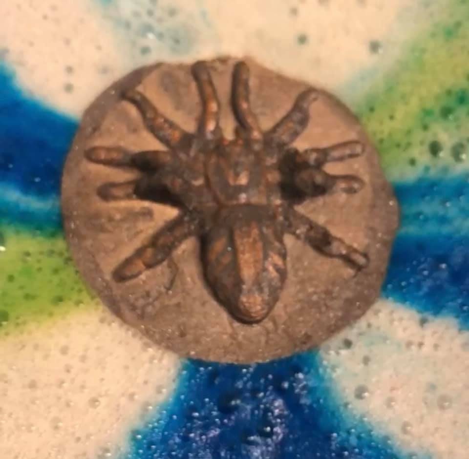 Tarantula in resin - Etsy 日本