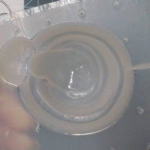 Op de afbeelding: Een close-up van een wit, rond, 3D-geprint object met een verhoogd, concentrisch ringontwerp. Het object is gedeeltelijk gevuld met een witte, viskeuze substantie.