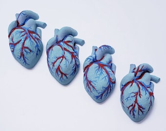 Human Heart Plastic Mold or silicone mold, Resin Mold, heart Mold, clay mold, soap mold, wax mold, anatomy mold, human mold, bath bomb mold