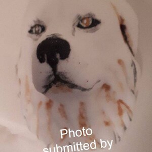 May include: Close-up of a white dog's face with brown and black markings. The dog has brown eyes and a black nose. The image is captioned "Photo submitted by Denise Testa".