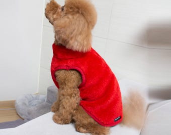 Puede incluir: Un perro pequeño de color marrón que lleva un chaleco de forro polar rojo. El perro está sentado en un sofá blanco y mirando hacia arriba.