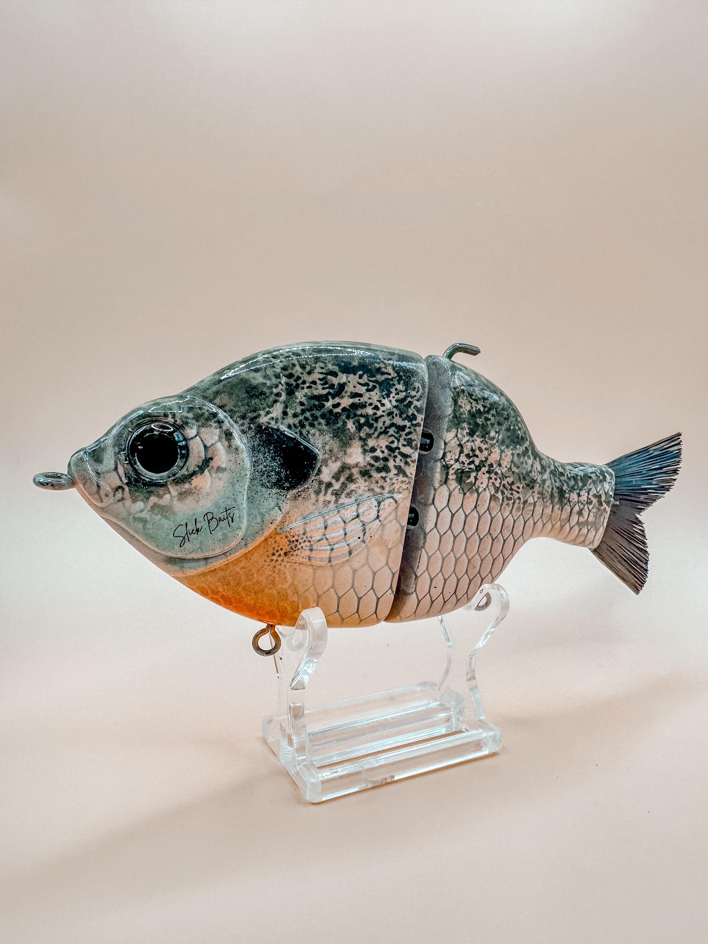 Fish 30 Acre Deluxe Gill Clone | Custom Painted| Blue Gill Swimbait - Thumbnail 4