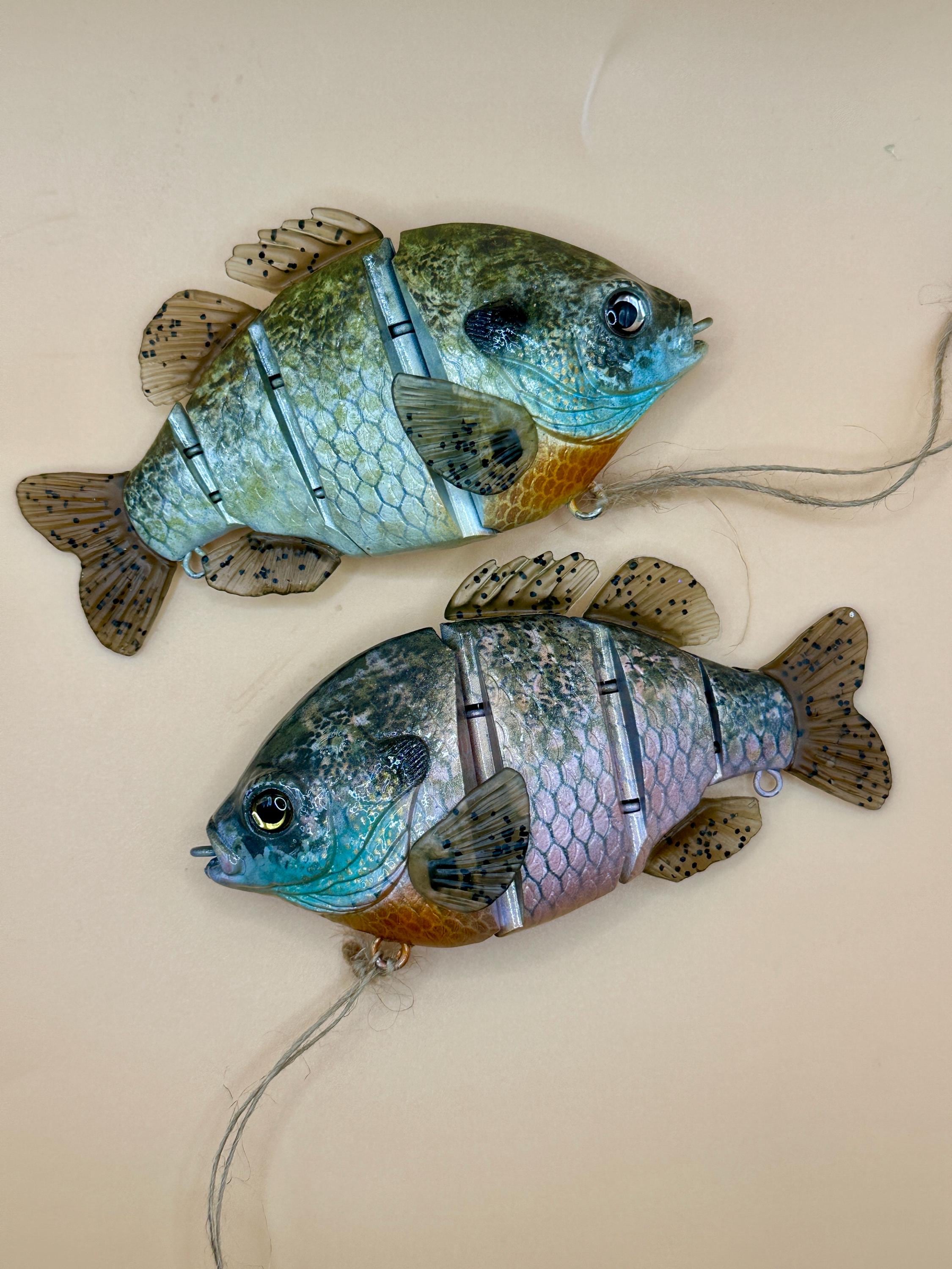 Fish 30 Acre Deluxe Gill Clone | Custom Painted| Blue Gill Swimbait