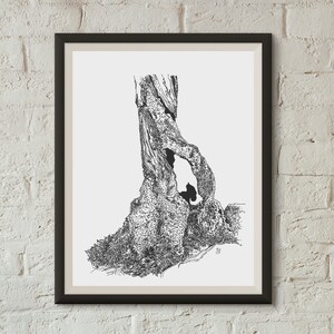 Spiraled Hollow Ink Drawing Giclee Art Print - Home Decor, Gift for Him, Gift for Her, Wall Art, Nature, Moss, Tree