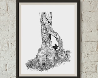 Spiraled Hollow Ink Drawing Giclee Art Print - Home Decor, Gift for Him, Gift for Her, Wall Art, Nature, Moss, Tree