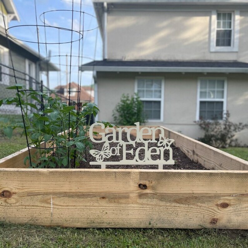 Puede incluir: Un jard&iacute;n elevado de madera con un letrero que dice "Garden of Eden" con detalles de mariposas. El jard&iacute;n est&aacute; lleno de tierra y una planta de tomate est&aacute; creciendo en el jard&iacute;n.
