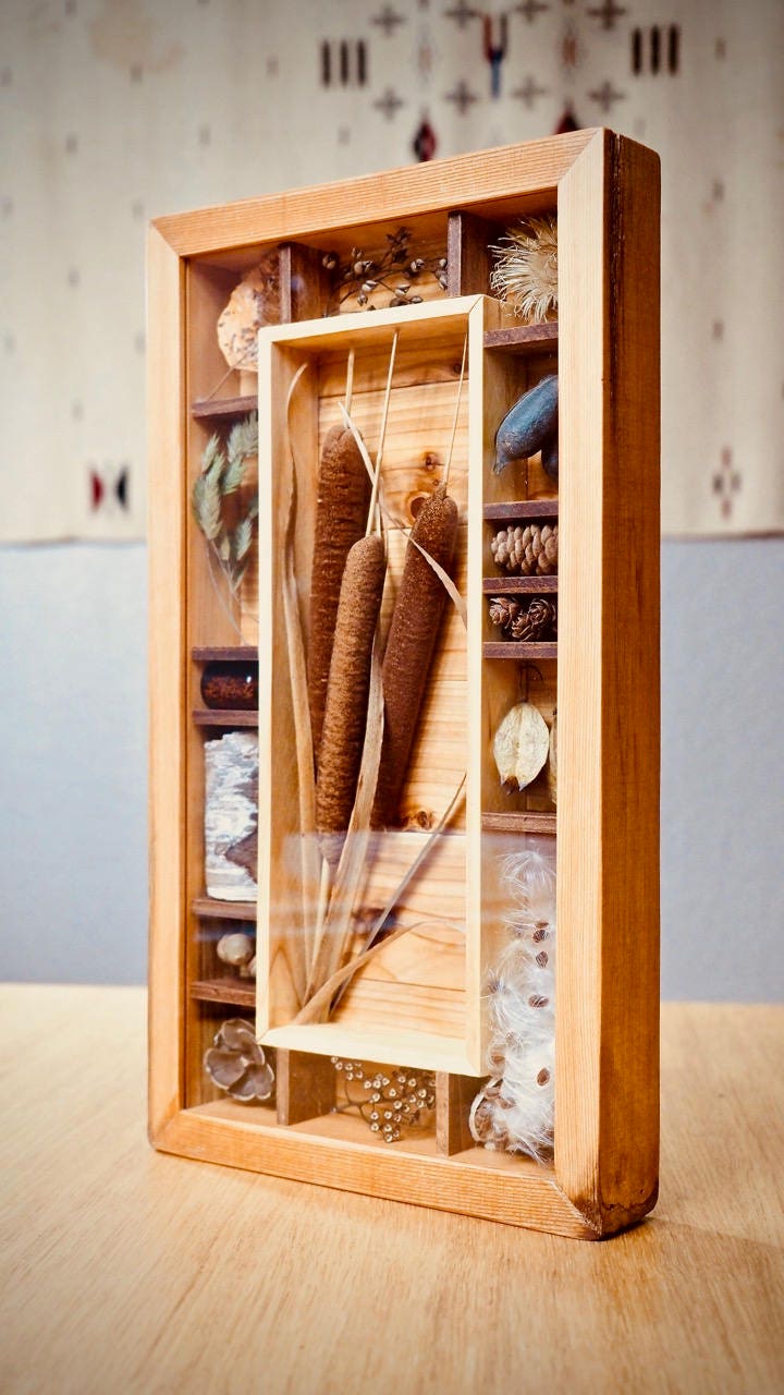 Shadow Box Nature Decoration Rustic Decor Cabin Decor Etsy