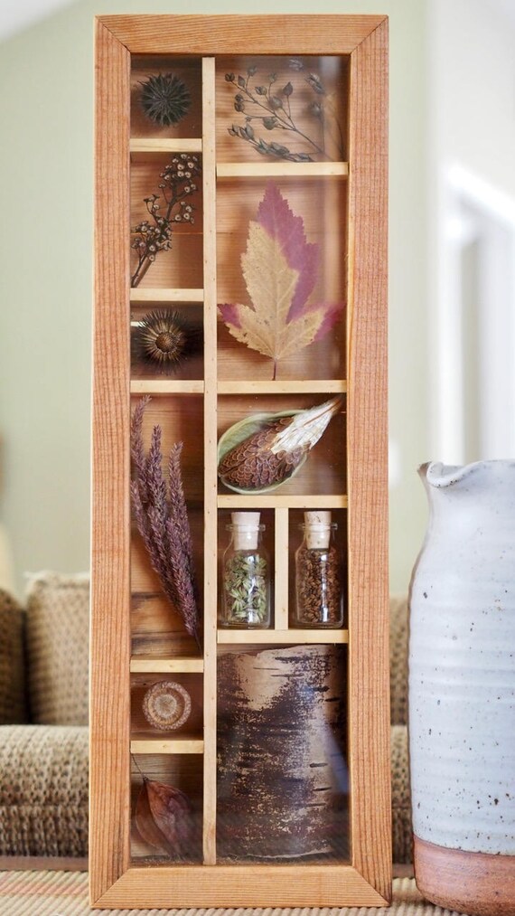 Shadow Box Nature Decoration Rustic Decor Cabin Decor Etsy