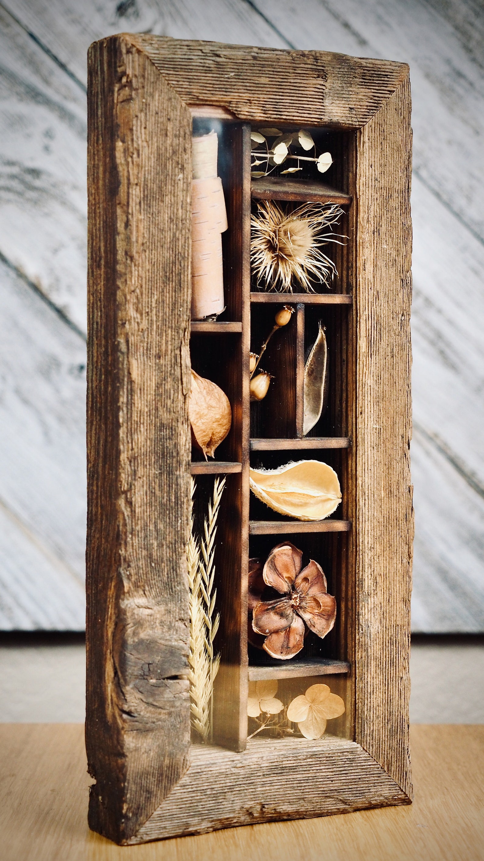 Shadow Box Nature Decoration Rustic Decor Cabin Decor Etsy