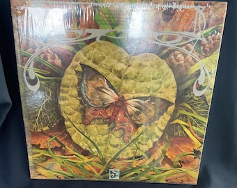 Spyro Gyra – Disco de vinilo Morning Dance (1979, Infinity Records INF-9004, LP de jazz fusión)