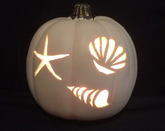 Starfish or Sea shells on a6.5" soft white or orange foam pumpkin