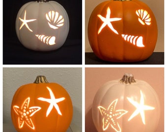 Starfish or Sea shells on a6.5" soft white or orange foam pumpkin