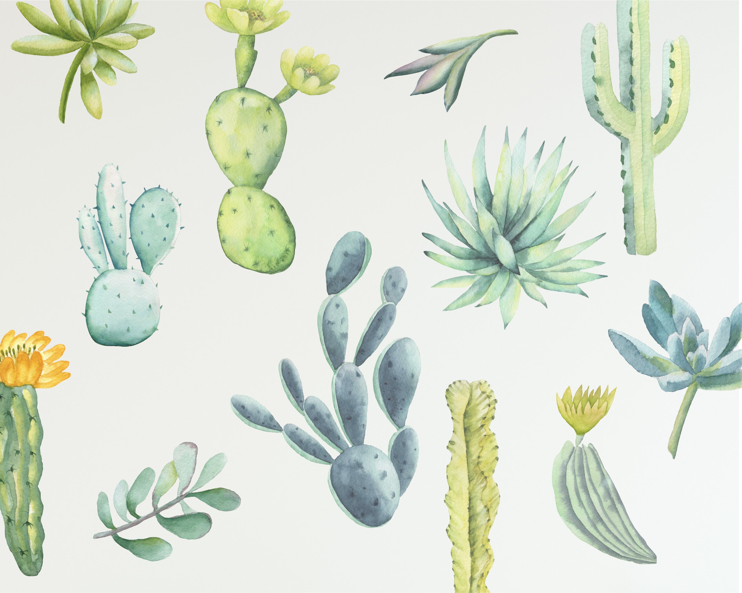 Watercolor Cactus Wall Decals Reusable FABRIC Wall Decals Eco