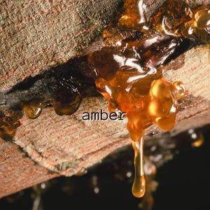 Amber | Single Note Layering Scent | Gender Neutral Natural Fragrance | Organic | Vegan | Essential Oils | Woodsy | DIY Perfume Layering