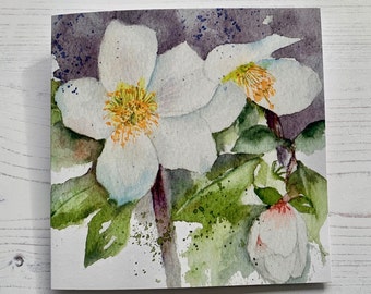 May include: Watercolor painting of white flowers with green leaves and a purple stem. The flowers have yellow centers and are painted in a realistic style.