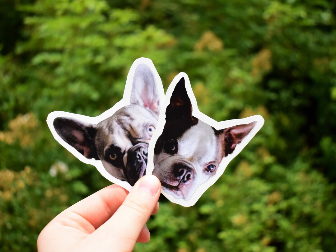 Bulk Custom Vinyl Stickers/decals Printed in Any Shape or Etsy