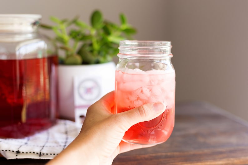 May include: A clear glass mason jar filled with a vibrant red liquid and ice cubes. The jar features a textured glass surface and a threaded rim. In the background, a large glass pitcher containing a similar red beverage sits next to a green plant.
