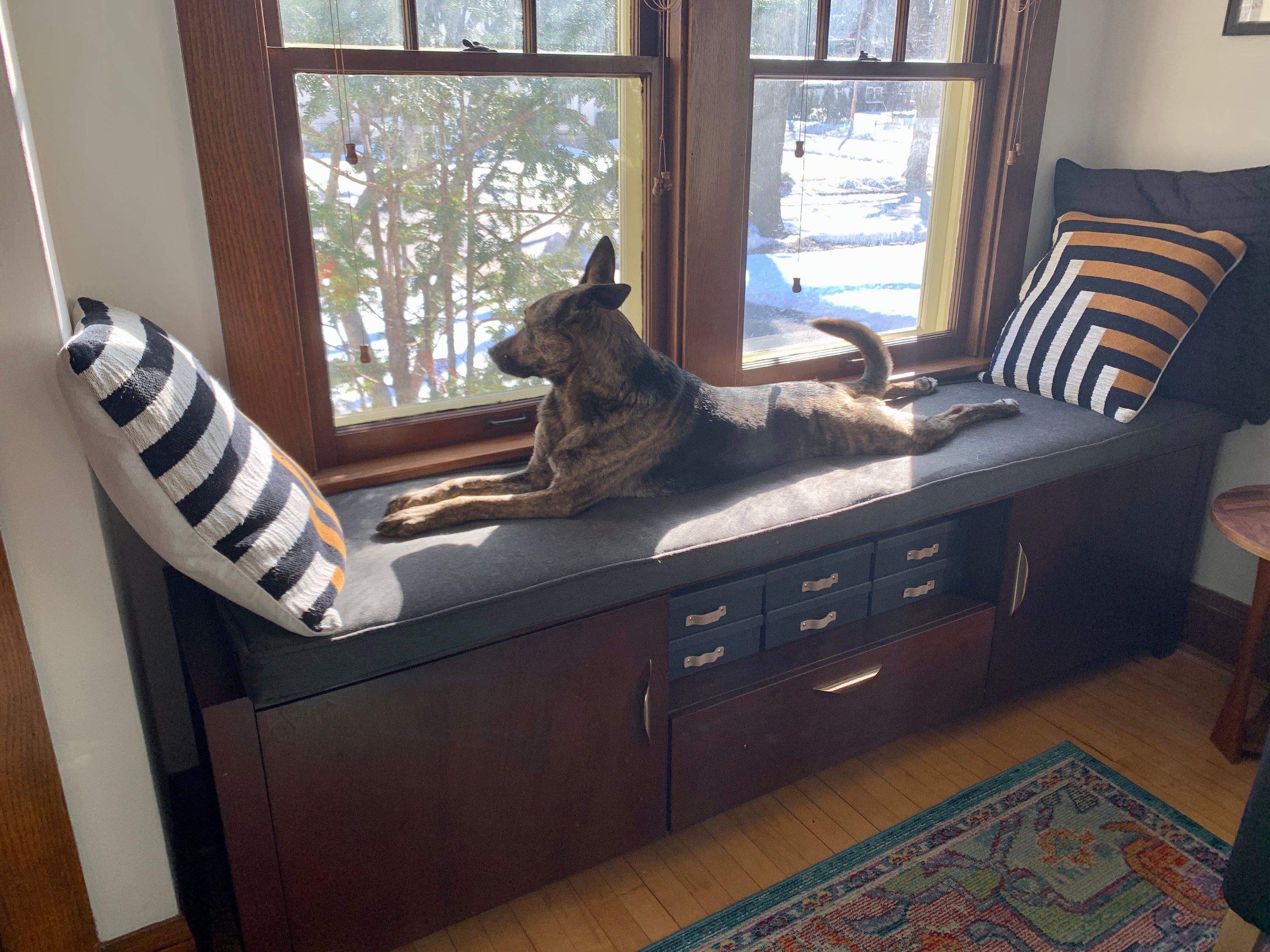 Dog seat for clearance window