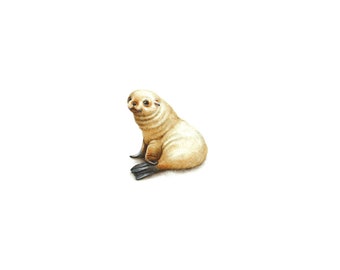 PRINT of watercolor miniature painting. Fur Seal
