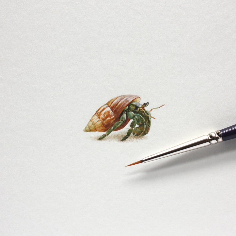 PRINT of watercolor miniature painting. Hermit crab image 2