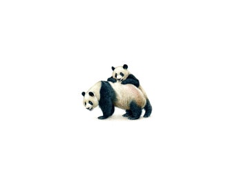 PRINT of watercolor miniature painting. Pandas