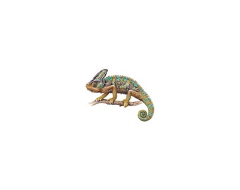 PRINT of watercolor miniature painting. Chameleon