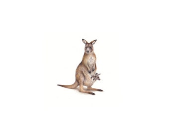 PRINT of watercolor miniature painting. Kangaroo